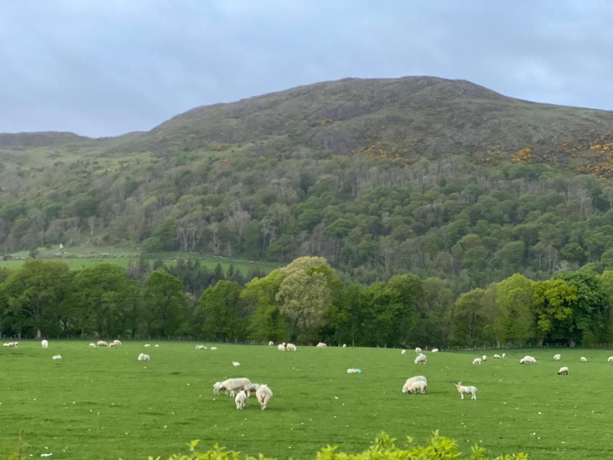 Tig Cottage - A Rural, Quirky, Pet Friendly 2 Bedroom Cottage Near Ballantrae Exteriér fotografie