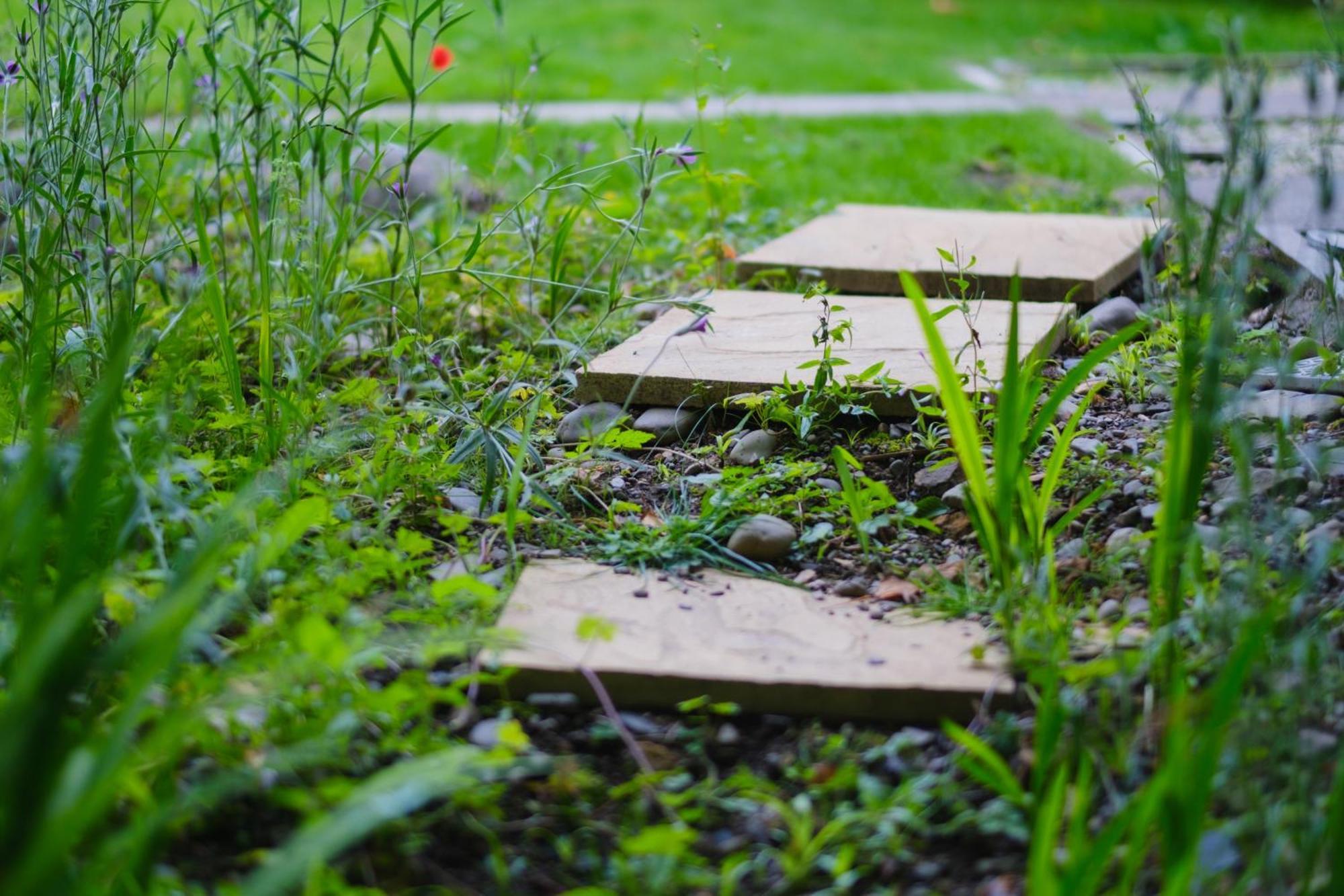 Tig Cottage - A Rural, Quirky, Pet Friendly 2 Bedroom Cottage Near Ballantrae Exteriér fotografie